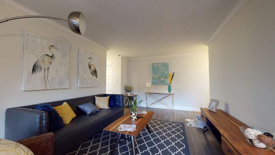 Bright and spacious living room with laminate flooring, couch, and lamp