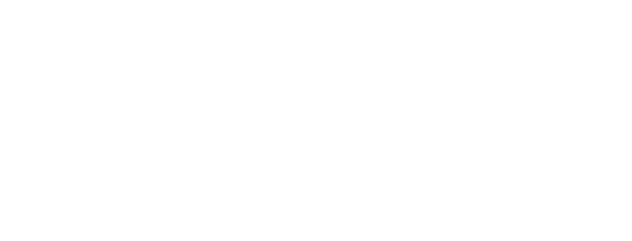 Story logo