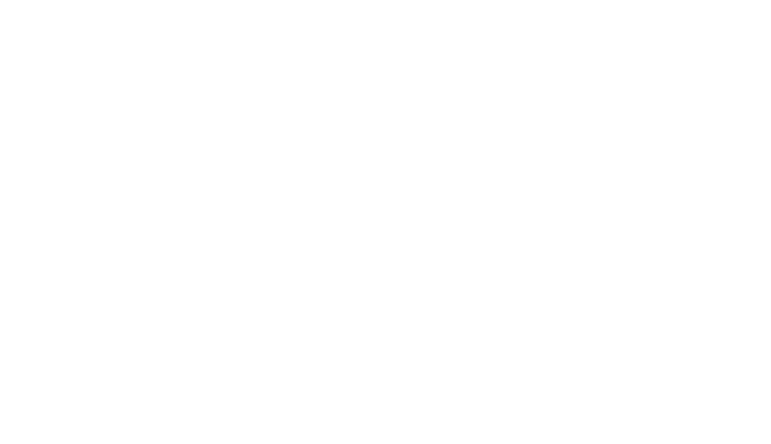 Story logo 1